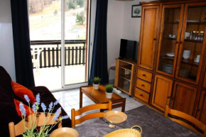 Résidence Les Issarts - Appartement 4 couchages au pied des pistes MAE-8114